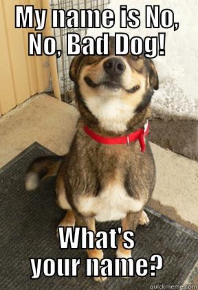 MY NAME IS NO, NO, BAD DOG! WHAT'S YOUR NAME? Good Dog Greg