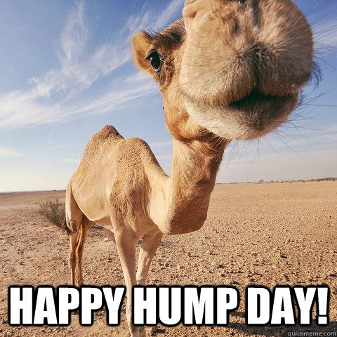  happy hump day!  