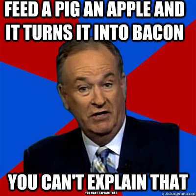 Feed a pig an apple and it turns it into bacon you can't explain that  