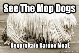 See The Mop Dogs Regurgitate Barone Meal.  mop dogs funny comment