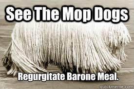 See The Mop Dogs Regurgitate Barone Meal.  mop dogs funny comment