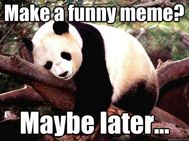 Make a funny meme? Maybe later...  Procrastination Panda