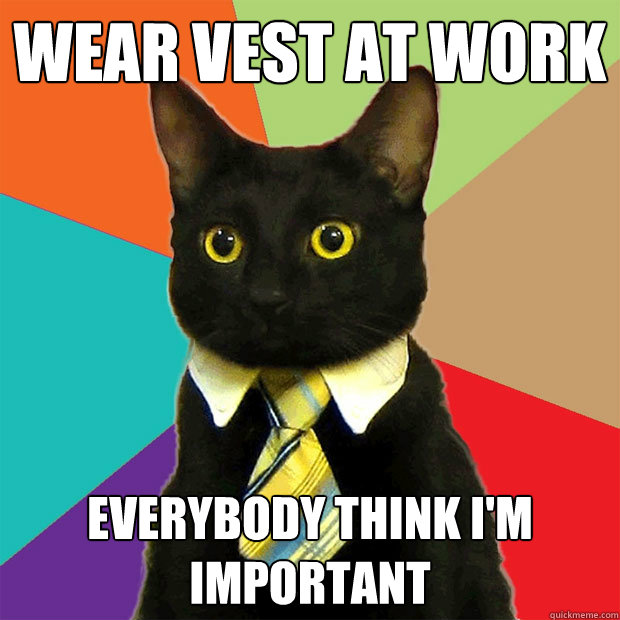 WEAR VEST AT WORK everybody think i'm important  Business Cat