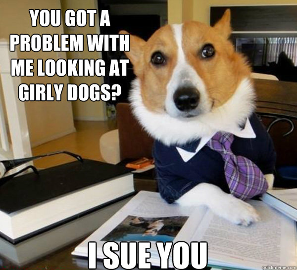 You got a problem with me looking at girly dogs? I Sue you - You got a problem with me looking at girly dogs? I Sue you  Lawyer Dog