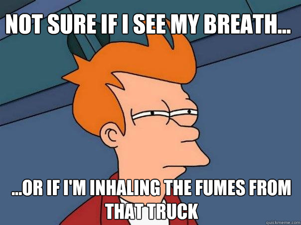 Not sure if I see my breath... ...or if I'm inhaling the fumes from that truck - Not sure if I see my breath... ...or if I'm inhaling the fumes from that truck  Futurama Fry