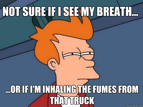 Not sure if I see my breath... ...or if I'm inhaling the fumes from that truck  Futurama Fry