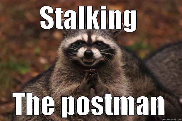 STALKING THE POSTMAN Evil Plotting Raccoon