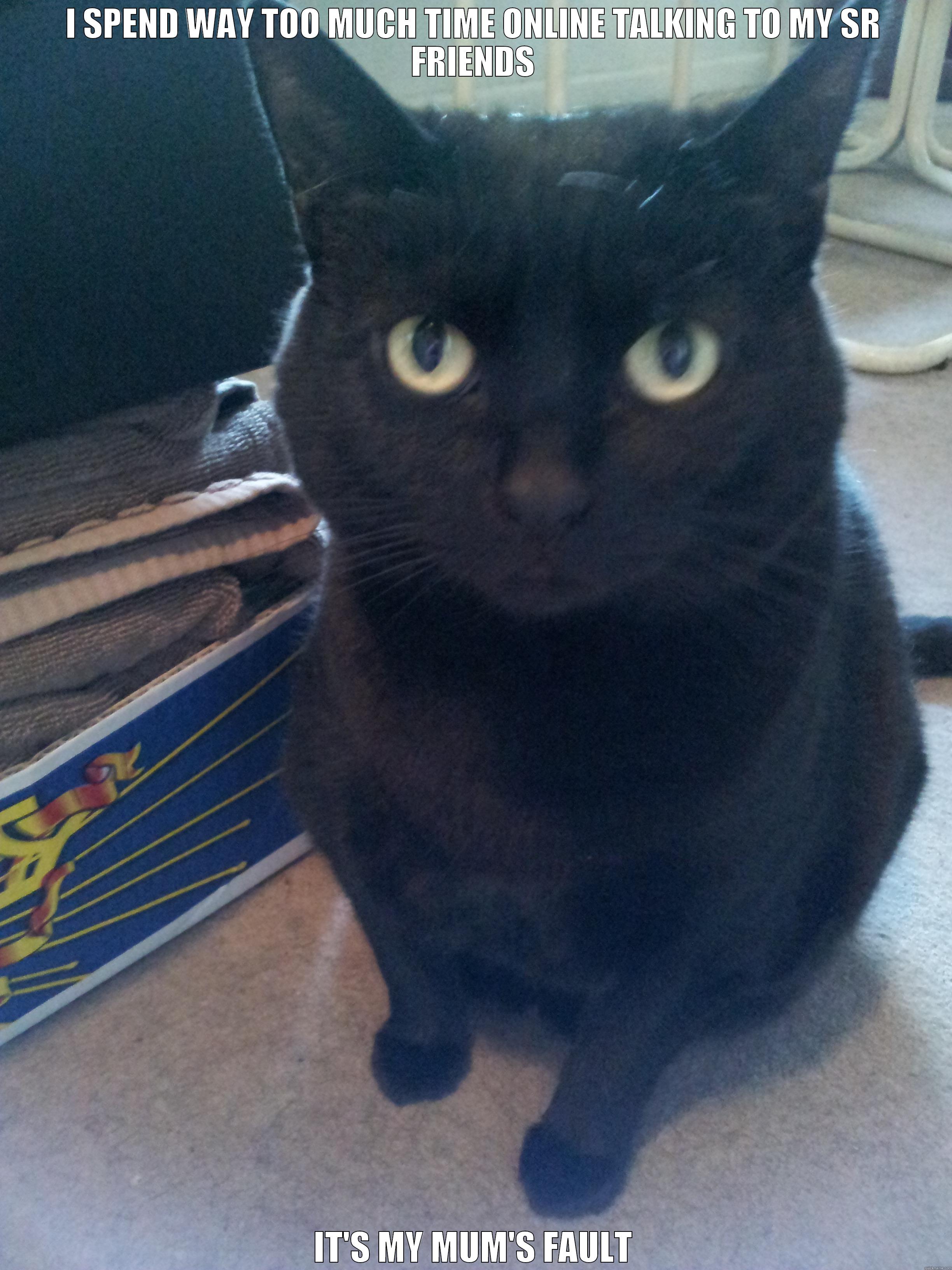 I SPEND WAY TOO MUCH TIME ONLINE TALKING TO MY SR FRIENDS IT'S MY MUM'S FAULT Misc