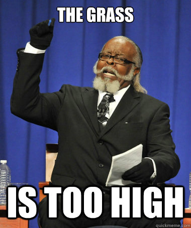 The Grass IS TOO HIGH  The Rent Is Too Damn High
