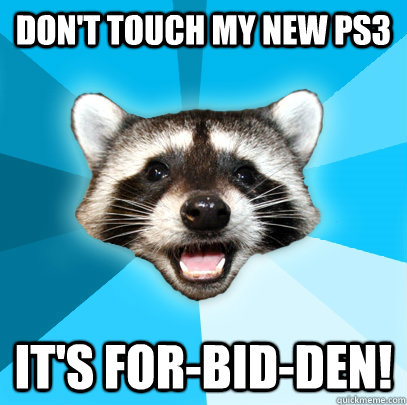 DON'T TOUCH MY NEW PS3 IT'S FOR-BID-DEN!  Lame Pun Coon