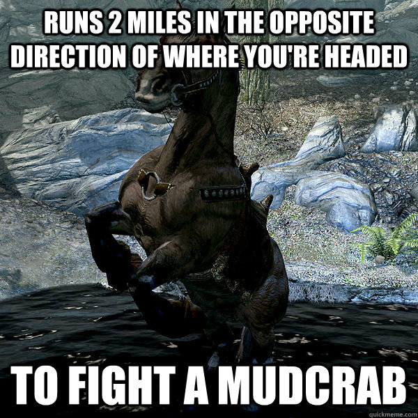 Runs 2 miles in the opposite direction of where you're headed To fight a mudcrab - Runs 2 miles in the opposite direction of where you're headed To fight a mudcrab  Overprotective Shadowmere