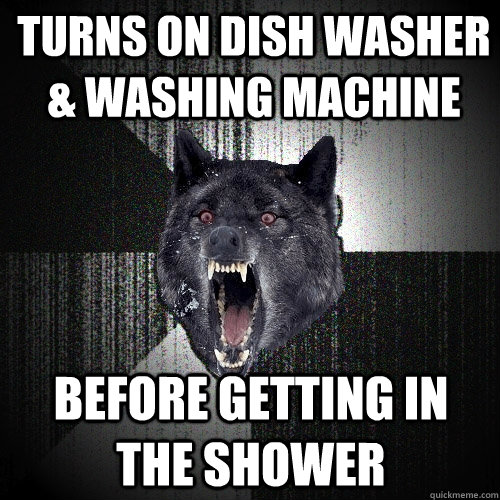 Turns on dish washer & washing machine before getting in the shower  Insanity Wolf