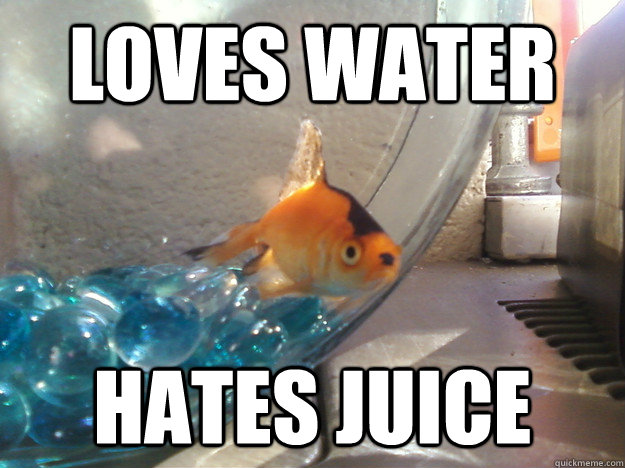 Loves water Hates Juice  Fascist Fish