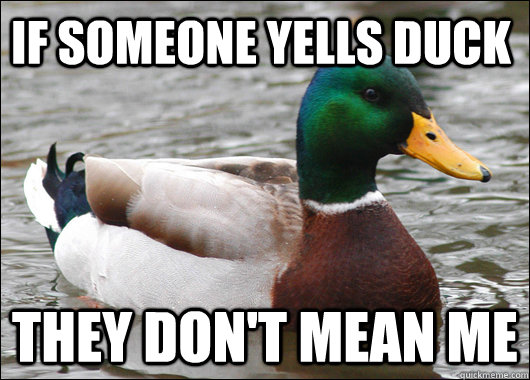 if someone yells duck they don't mean me  Actual Advice Mallard