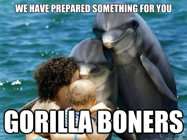 We have prepared something for you Gorilla boners  Malevolent Dolphins