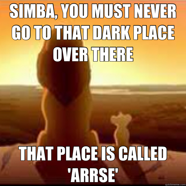 SIMBA, YOU MUST NEVER GO TO THAT DARK PLACE OVER THERE THAT PLACE IS CALLED 'ARRSE'  