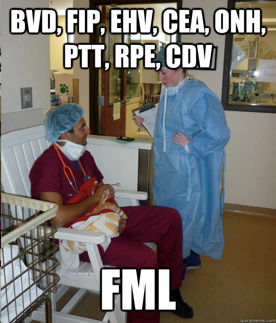 BVD, FIP, EHV, CEA, ONH, PTT, RPE, CDV fml  Overworked Veterinary Student