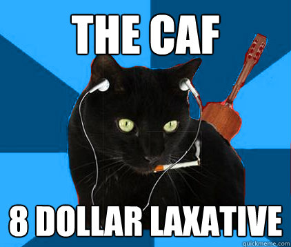 the caf 8 dollar laxative  Socially Awkward Berklee Cat