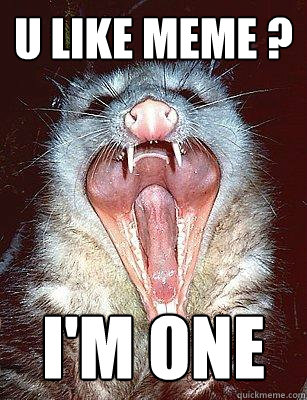 U LIKE MEME ? I'M ONE  