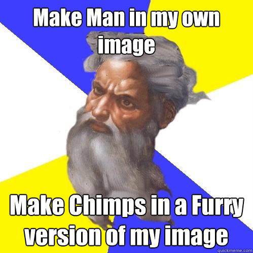 Make Man in my own image Make Chimps in a Furry version of my image  Advice God