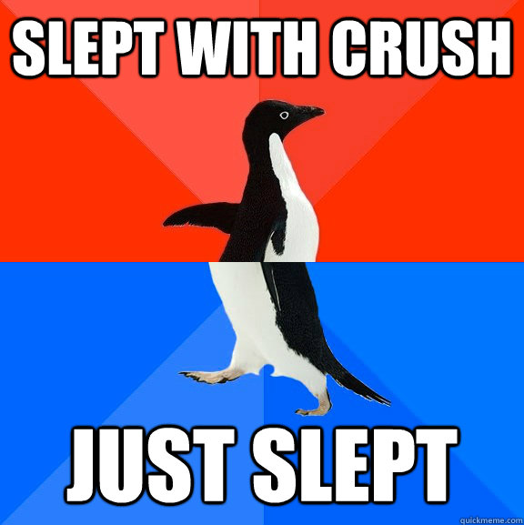 slept with crush just slept  Socially Awesome Awkward Penguin