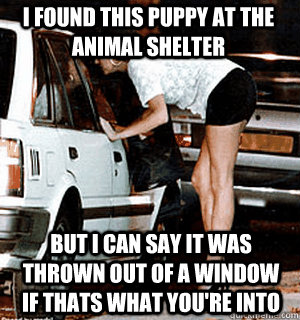 I found this puppy at the animal shelter But I can say it was thrown out of a window if thats what you're into  Karma Whore