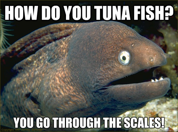 How do you Tuna fish? You go through the scales! - How do you Tuna fish? You go through the scales!  Bad Joke Eel