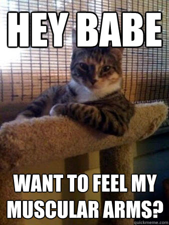 hey babe want to feel my muscular arms?  The Most Interesting Cat in the World