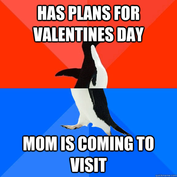 Has plans for valentines day mom is coming to visit  Socially Awesome Awkward Penguin