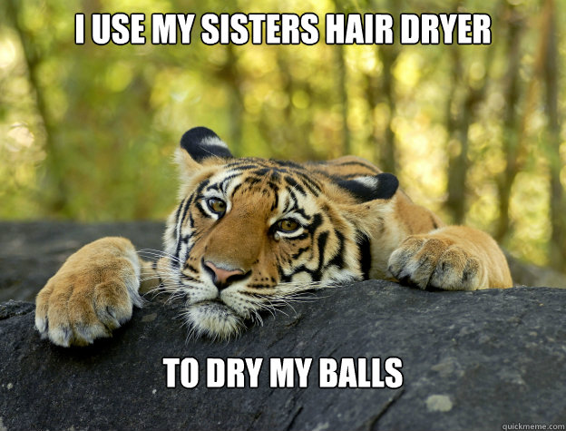 I use my sisters hair dryer to dry my balls - I use my sisters hair dryer to dry my balls  Confession Tiger