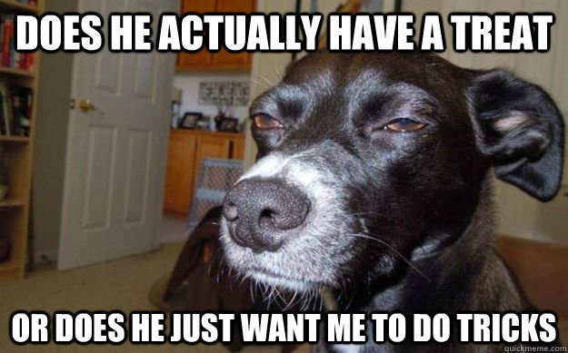 does he actually have a treat or does he just want me to do tricks - does he actually have a treat or does he just want me to do tricks  Skeptical Mutt