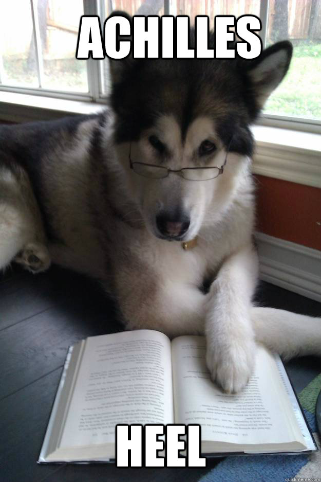 Achilles Heel  Condescending Literary Pun Dog