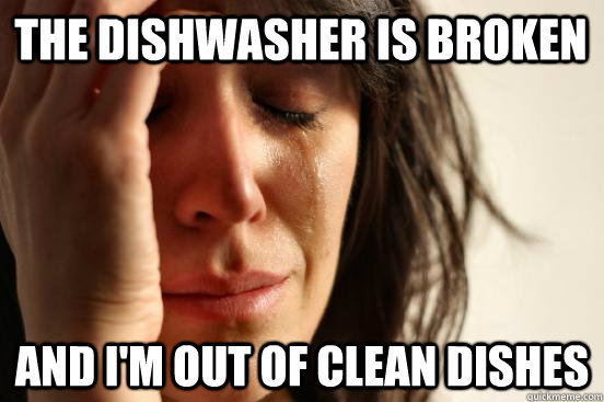 The dishwasher is broken and I'm out of clean dishes  First World Problems