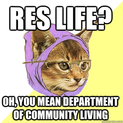 Res life? oh, you mean department of community living  Hipster Kitty
