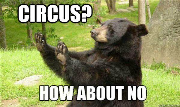 Circus?  - Circus?   How about no bear