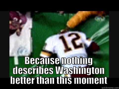  BECAUSE NOTHING DESCRIBES WASHINGTON BETTER THAN THIS MOMENT Misc