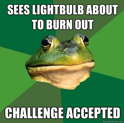 Sees lightbulb about to burn out Challenge accepted  Foul Bachelor Frog