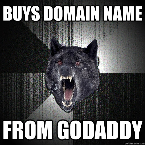 Buys domain name from godaddy  Insanity Wolf
