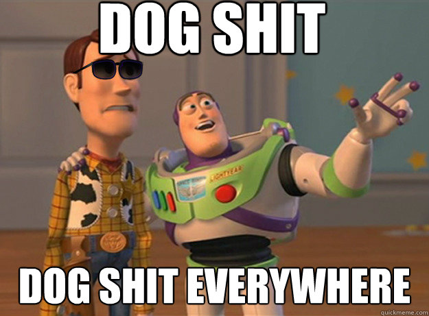 DOG SHIT dog shit everywhere  Dat Ass Everywhere