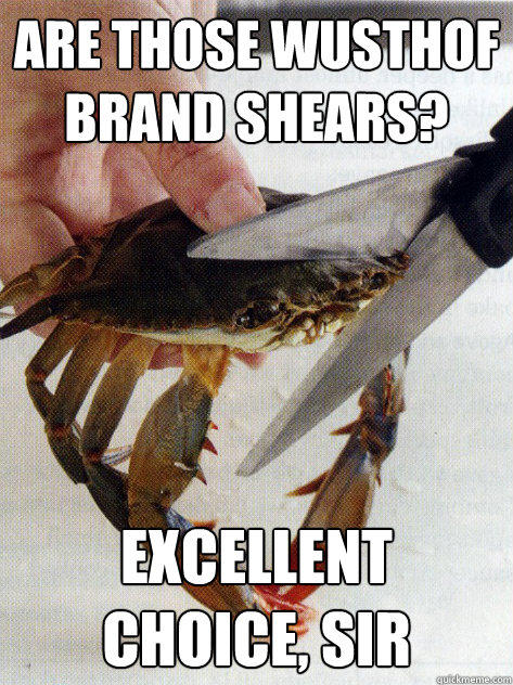 Are those wusthof brand shears? excellent choice, sir - Are those wusthof brand shears? excellent choice, sir  Optimistic Crab