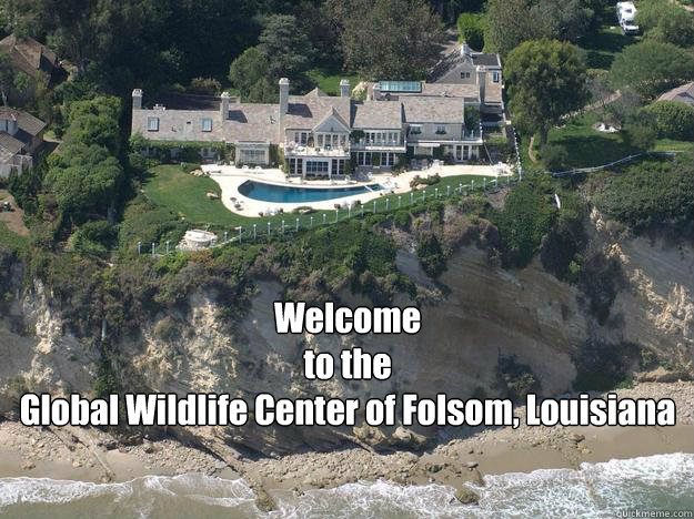 Welcome
to the
Global Wildlife Center of Folsom, Louisiana - Welcome
to the
Global Wildlife Center of Folsom, Louisiana  Streisand Effect