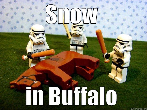 SNOW IN BUFFALO Dead Horse