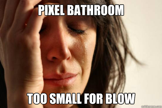 pixel bathroom too small for blow   First World Problems