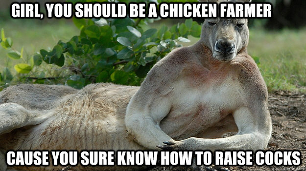 Girl, you should be a chicken farmer cause you sure know how to raise cocks - Girl, you should be a chicken farmer cause you sure know how to raise cocks  Sexy Kangaroo