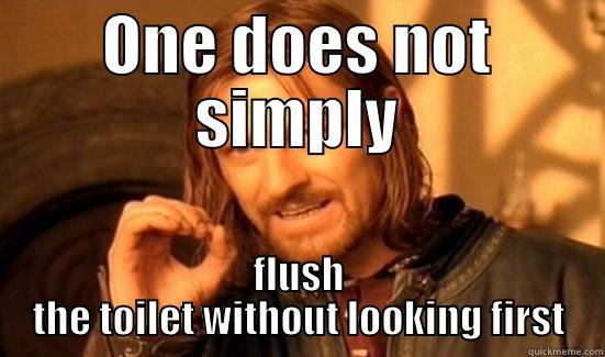 ONE DOES NOT SIMPLY FLUSH THE TOILET WITHOUT LOOKING FIRST Boromir