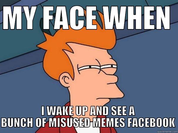 MY FACE WHEN  I WAKE UP AND SEE A BUNCH OF MISUSED MEMES FACEBOOK Futurama Fry