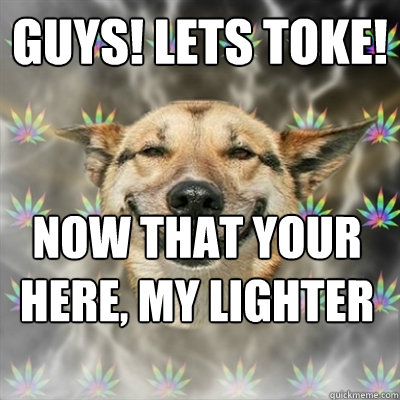Guys! lets toke! now that your here, my lighter doesnt work  Stoner Dog