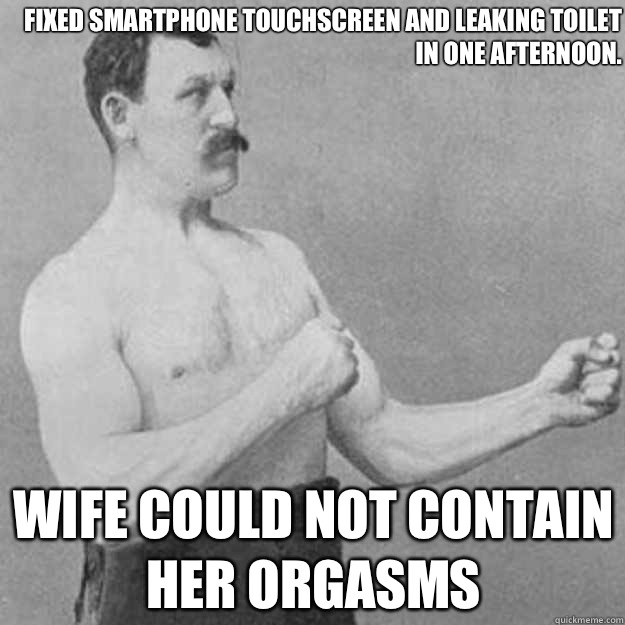 Fixed smartphone touchscreen and leaking toilet in one afternoon. Wife could not contain her orgasms  overly manly man