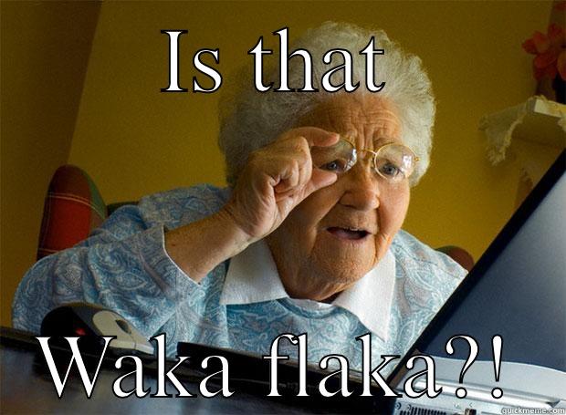 IS THAT WAKA FLAKA?! Grandma finds the Internet