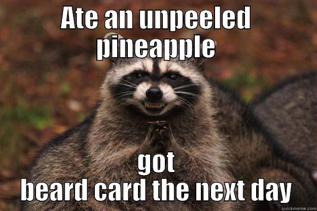 ATE AN UNPEELED PINEAPPLE GOT BEARD CARD THE NEXT DAY Evil Plotting Raccoon